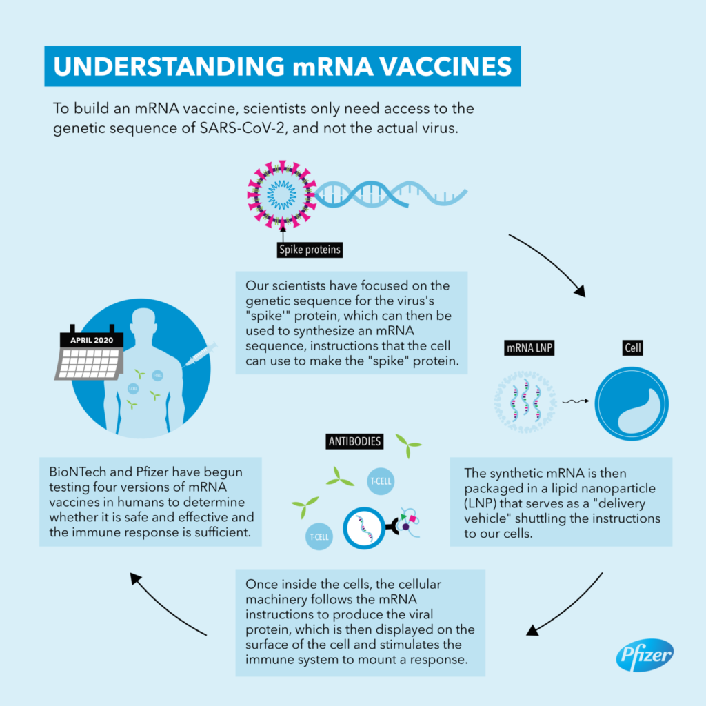 Entendiendo las vacunas de ARN mensajero de Pfizer.