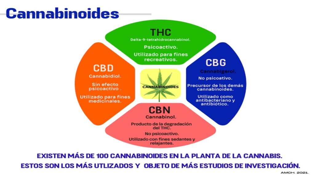Existen cuatro tipos de cannabinoides.