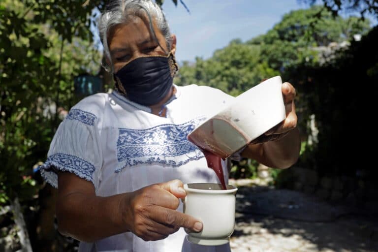 Cocinera otomí gana concurso con su atole de maíz morado